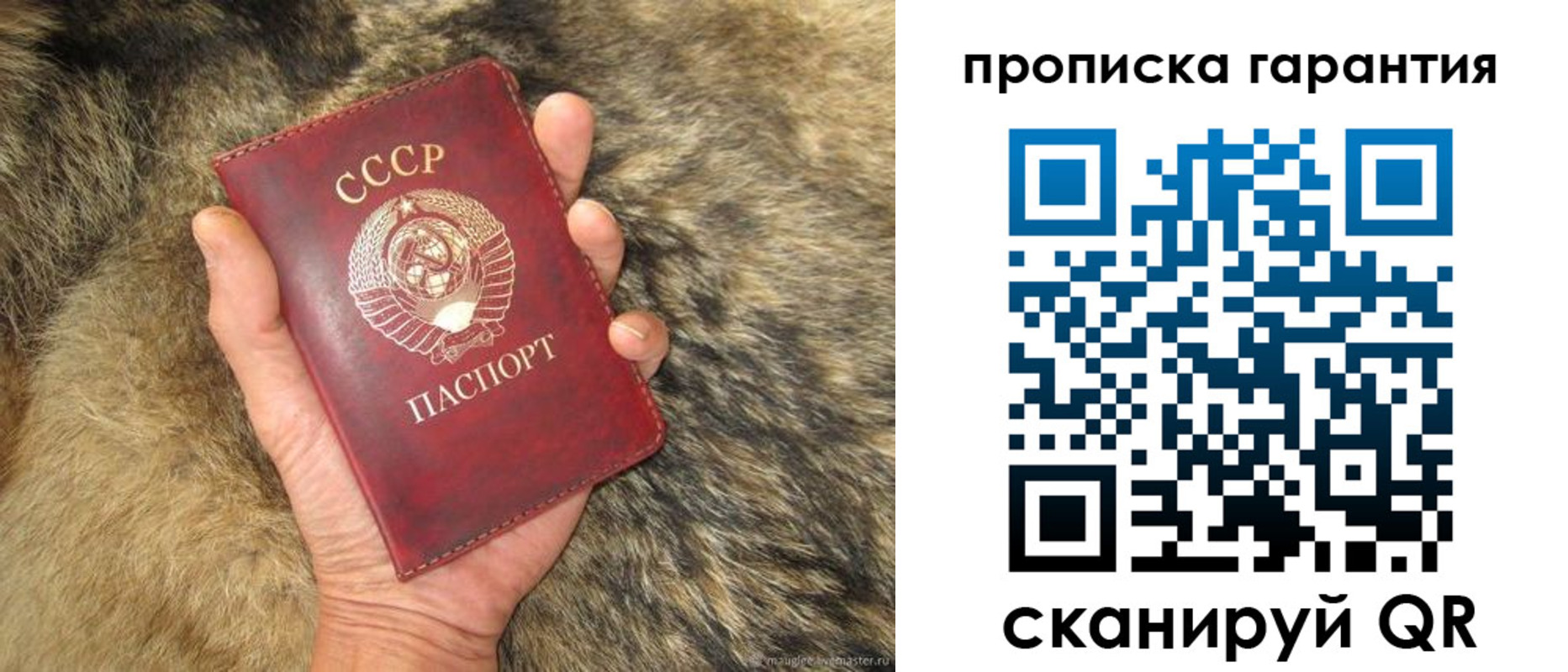 прописка паспорт в Лобне